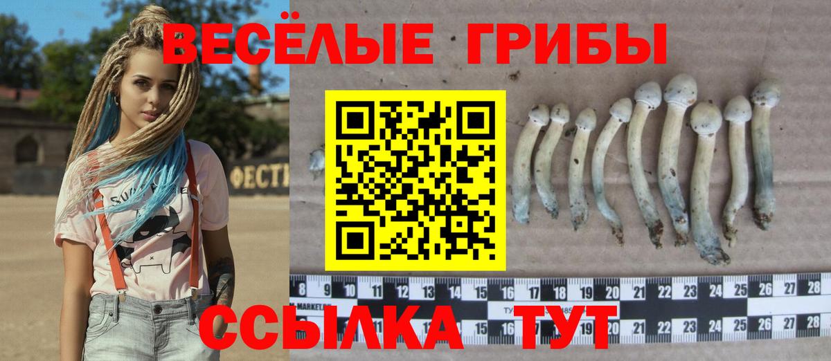 Галлюциногенные грибы мухоморы  Галлюциногенные грибы мицелий  Вход с VPN  где купить наркоту  Выкса 