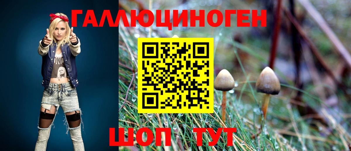 Галлюциногенные грибы Magic Shrooms Выкса